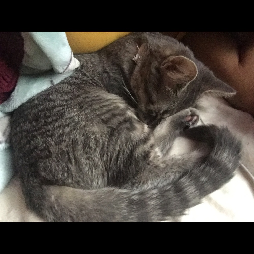 Meet your Posher, Mari